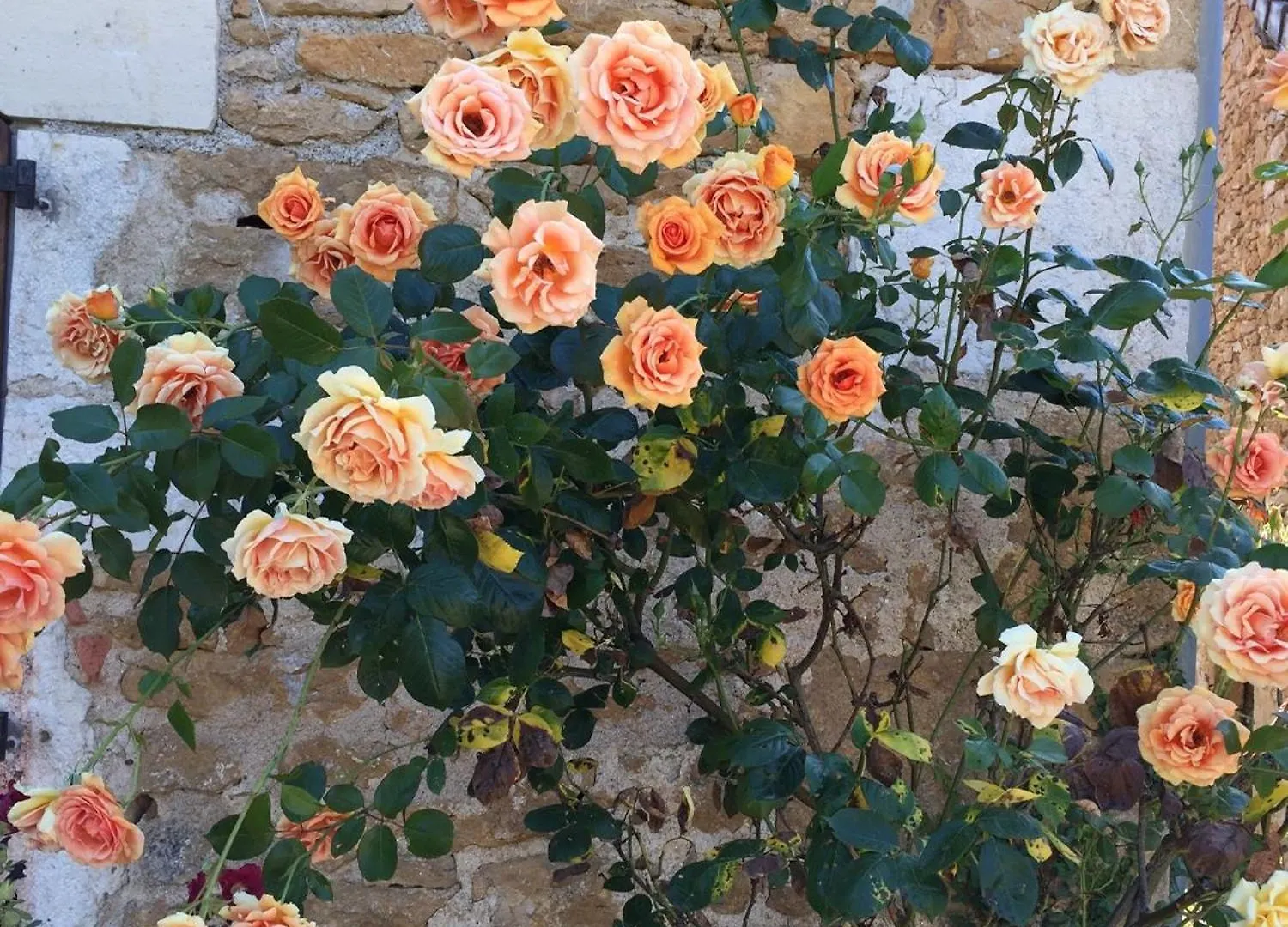 Bed and Breakfast La Maison D Helene à Cambes  France